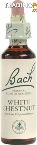 Bach Flower White Chestnut 20ml - Bach Flower - 5000488103359