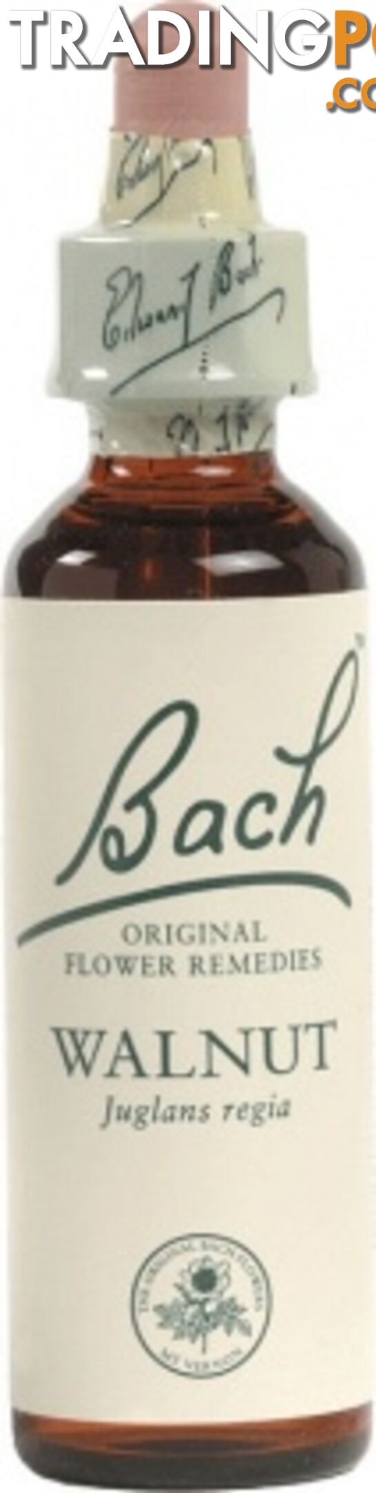 Bach Flower Walnut 20ml - Bach Flower - 5000488103335