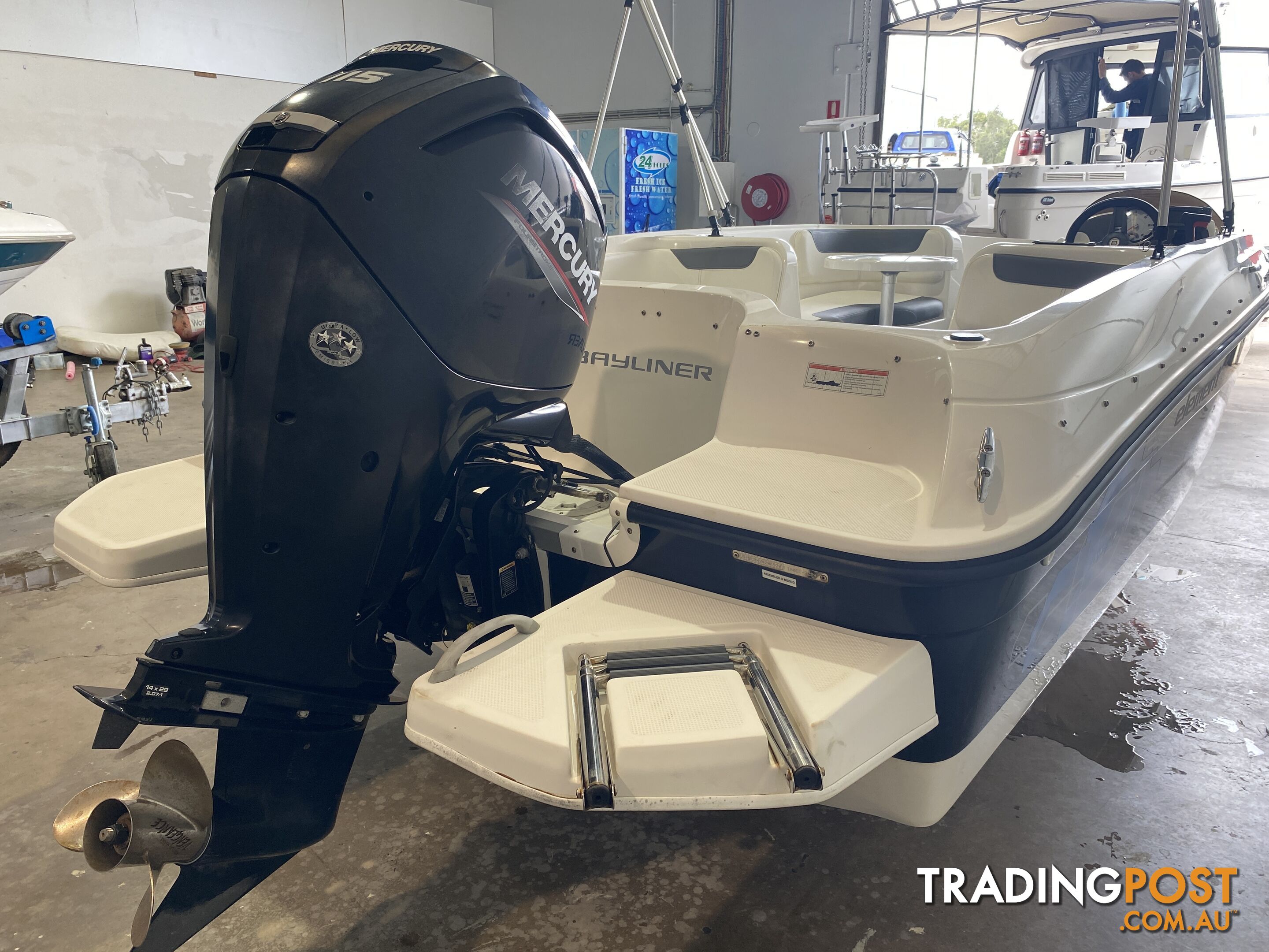 2019 Bayliner Element 18 - Mercury 115HP Outboard - Only 38 Hours!