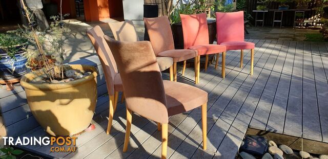 Italian upholstered asfumatori colours, timber frame stacking