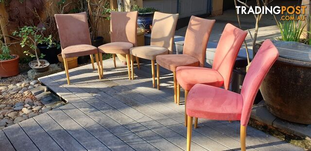 Italian upholstered asfumatori colours, timber frame stacking