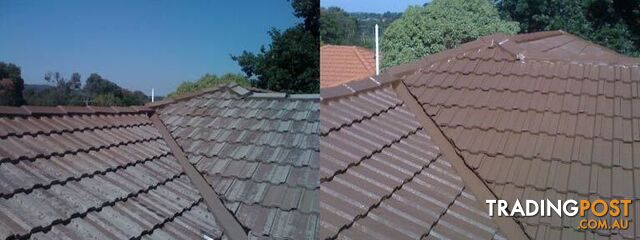 Roof Restoration and Repairs, Dandenong, VIC - photo 2 of 3