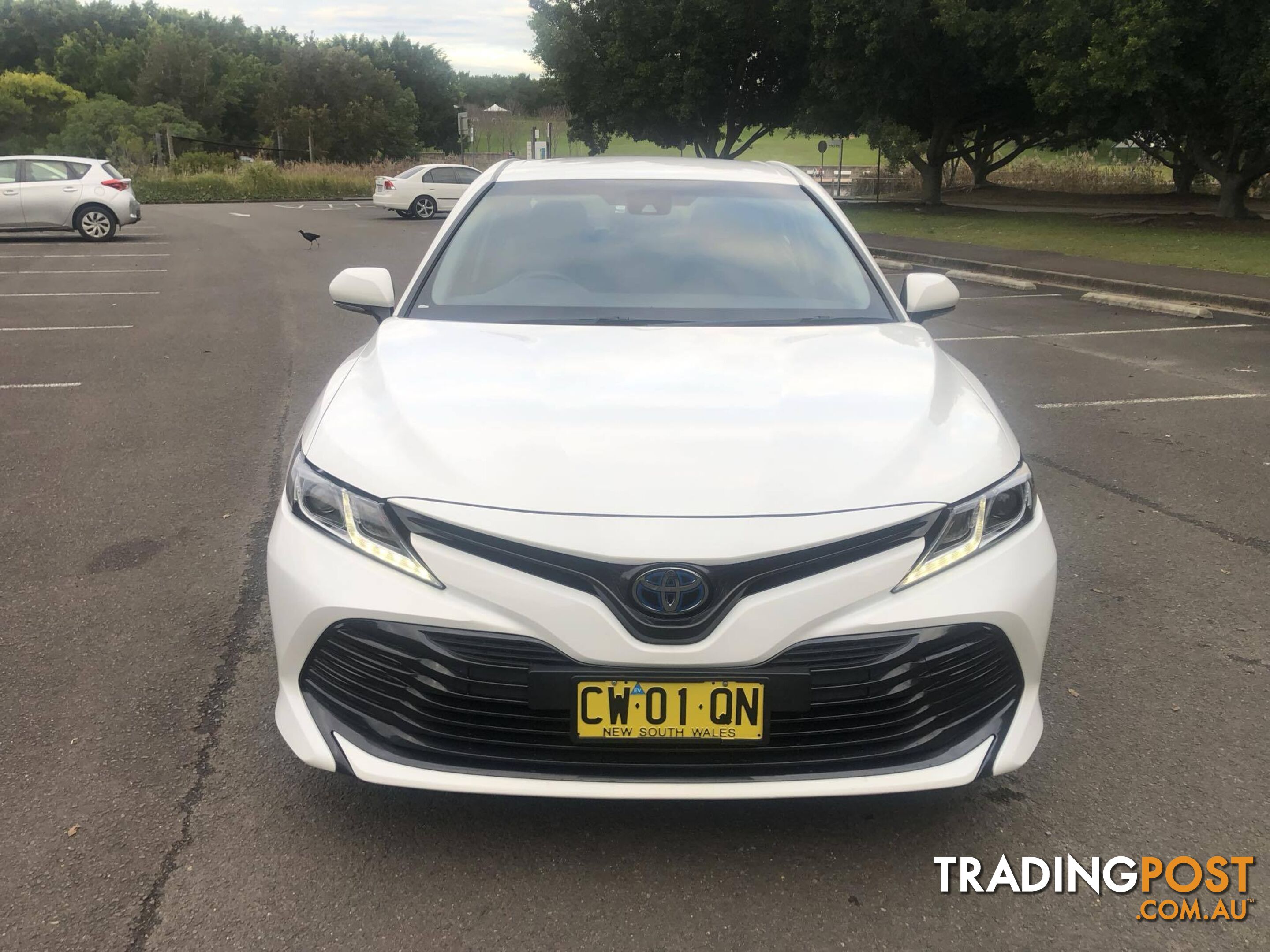 2020 Toyota Camry AXVH71R ASCENT (HYBRID) Sedan Automatic