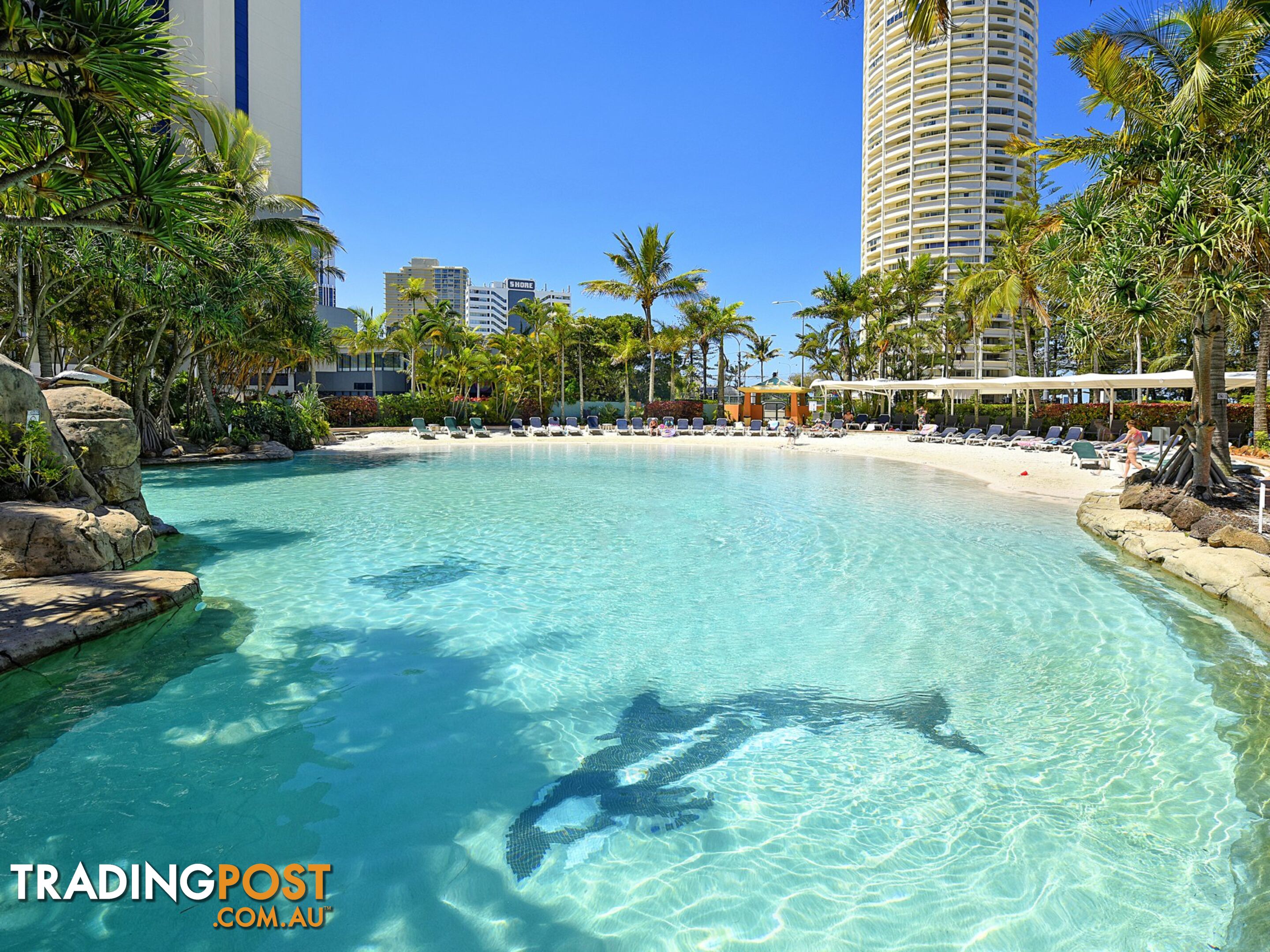 1404 5-19 Palm Avenue SURFERS PARADISE QLD 4217