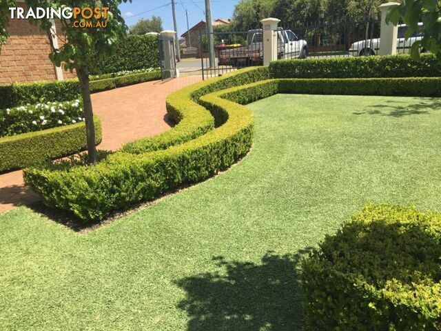 Landscaping and maintenance/ Sydney Roller Mower Centre
(Negotiable)