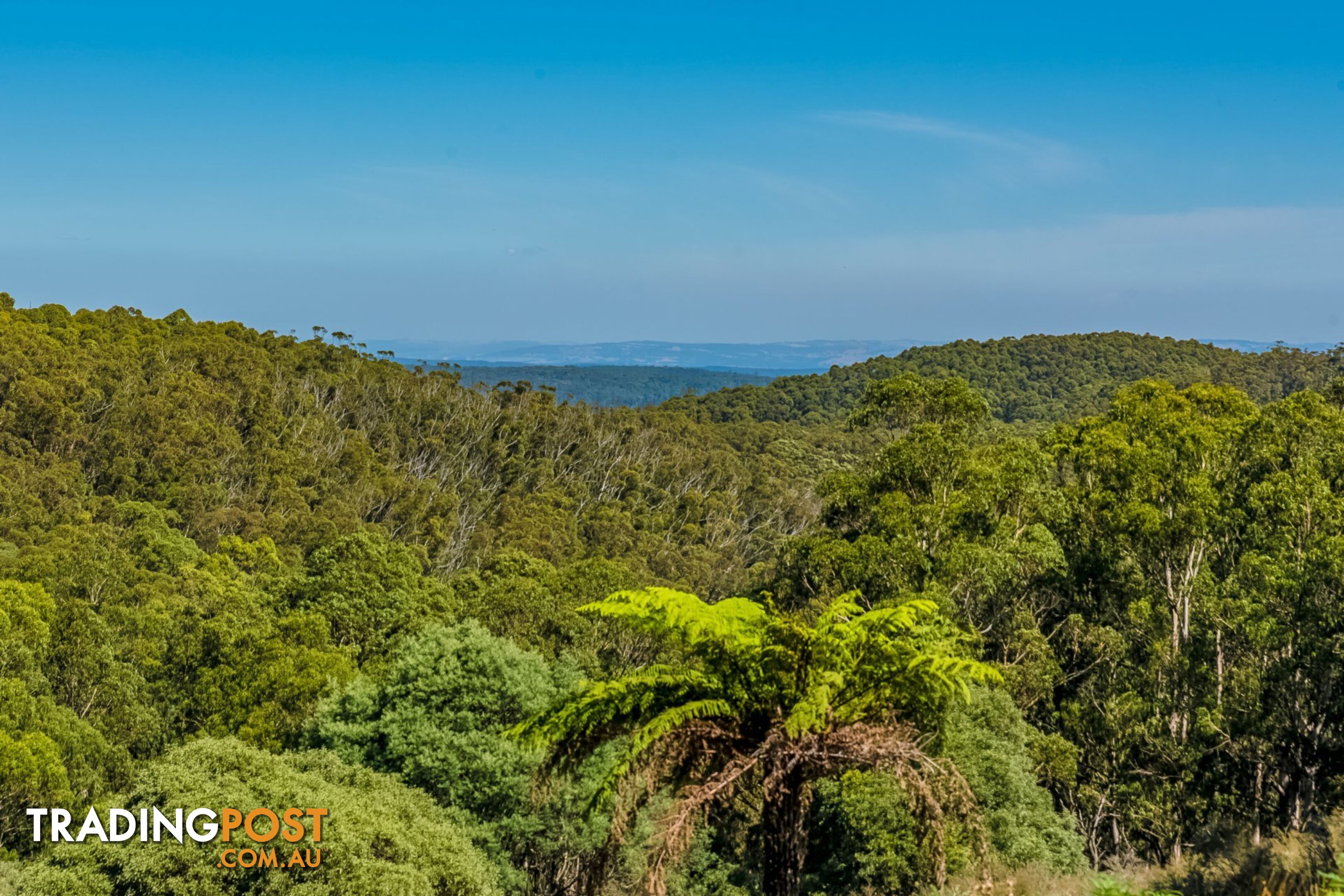 1 Happy Go Lucky Road WALHALLA VIC 3825