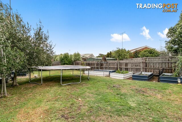 3 Trent Court TRARALGON VIC 3844