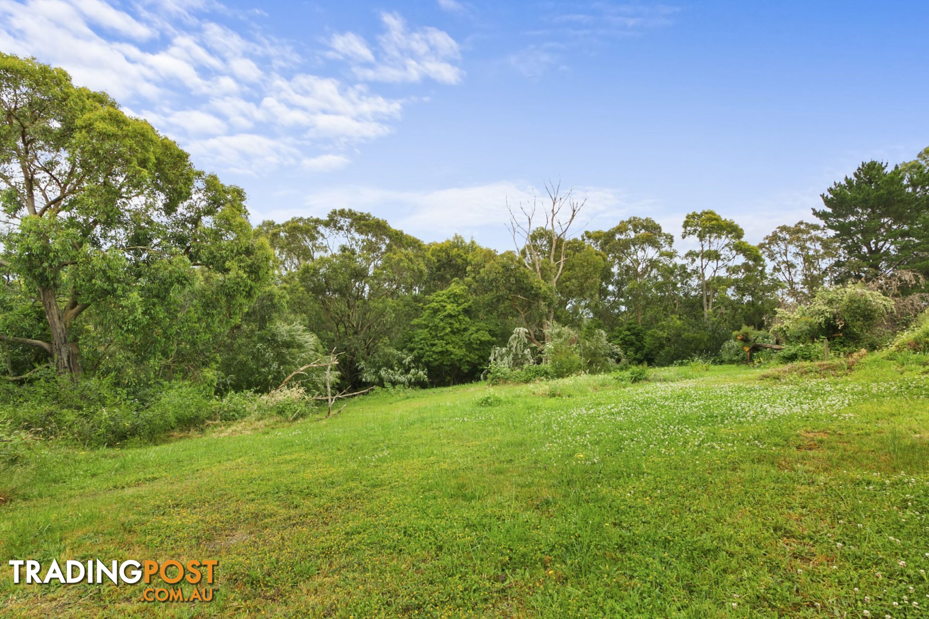 12 Frys Track NEWBOROUGH VIC 3825