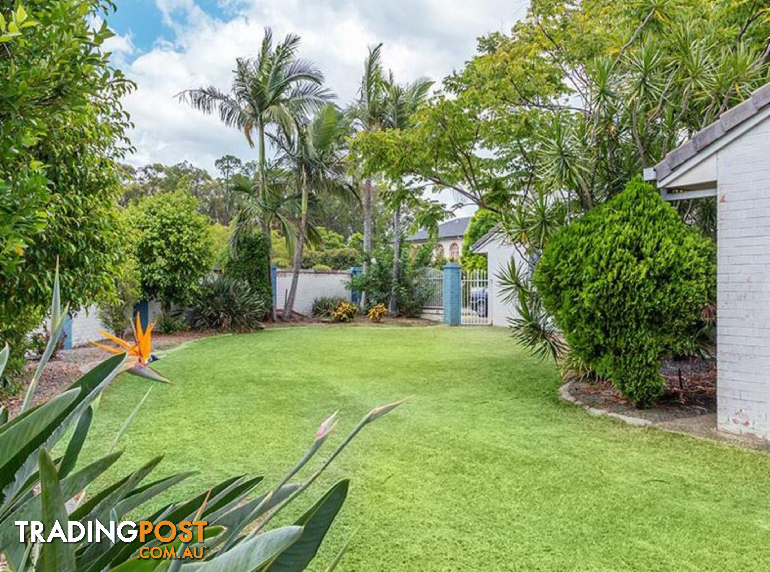 27 The Avenue SUNNYBANK HILLS QLD 4109