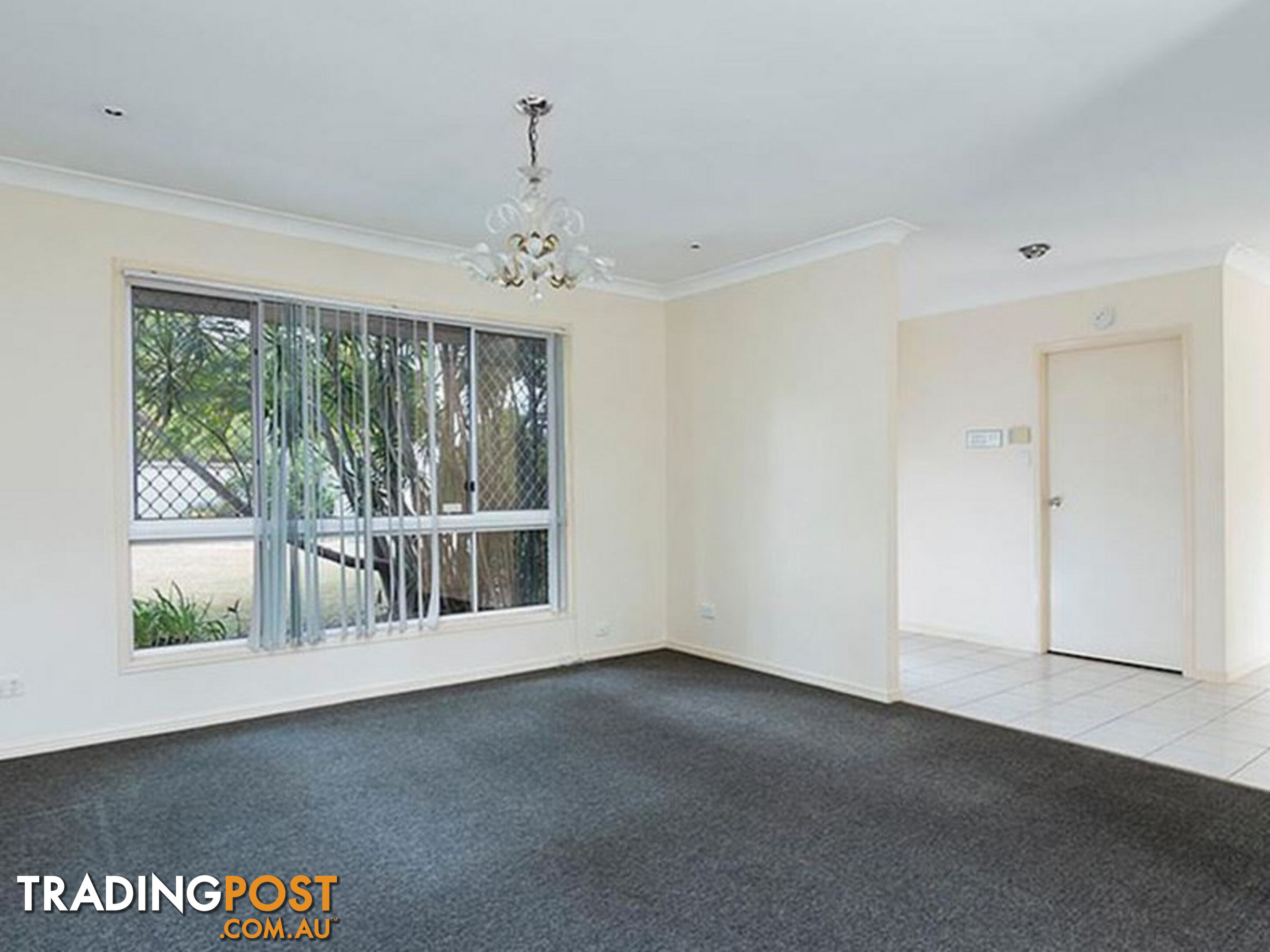 27 The Avenue SUNNYBANK HILLS QLD 4109