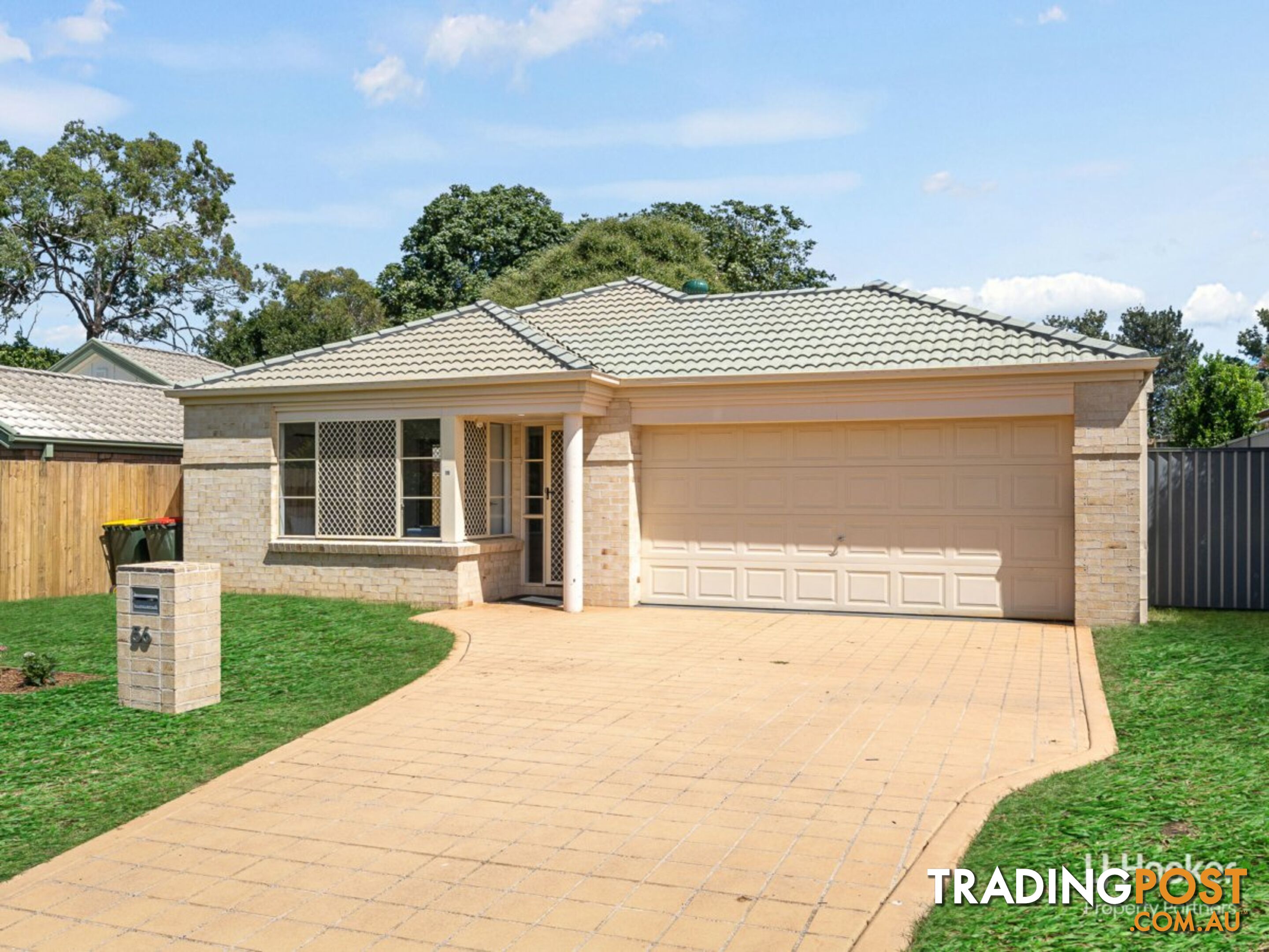 56 Solandra Crescent CALAMVALE QLD 4116