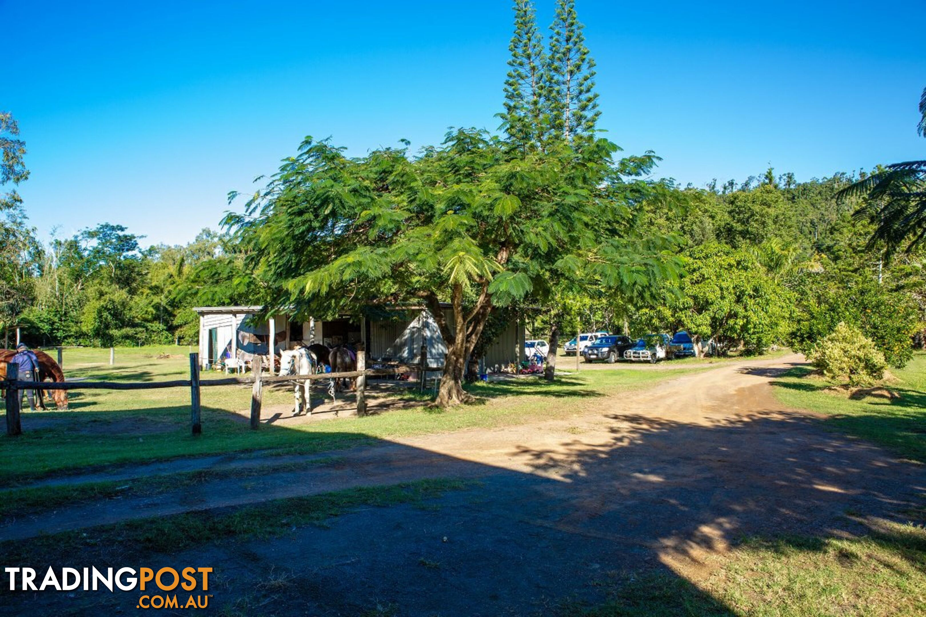 18 Moon Crescent SUGARLOAF QLD 4800