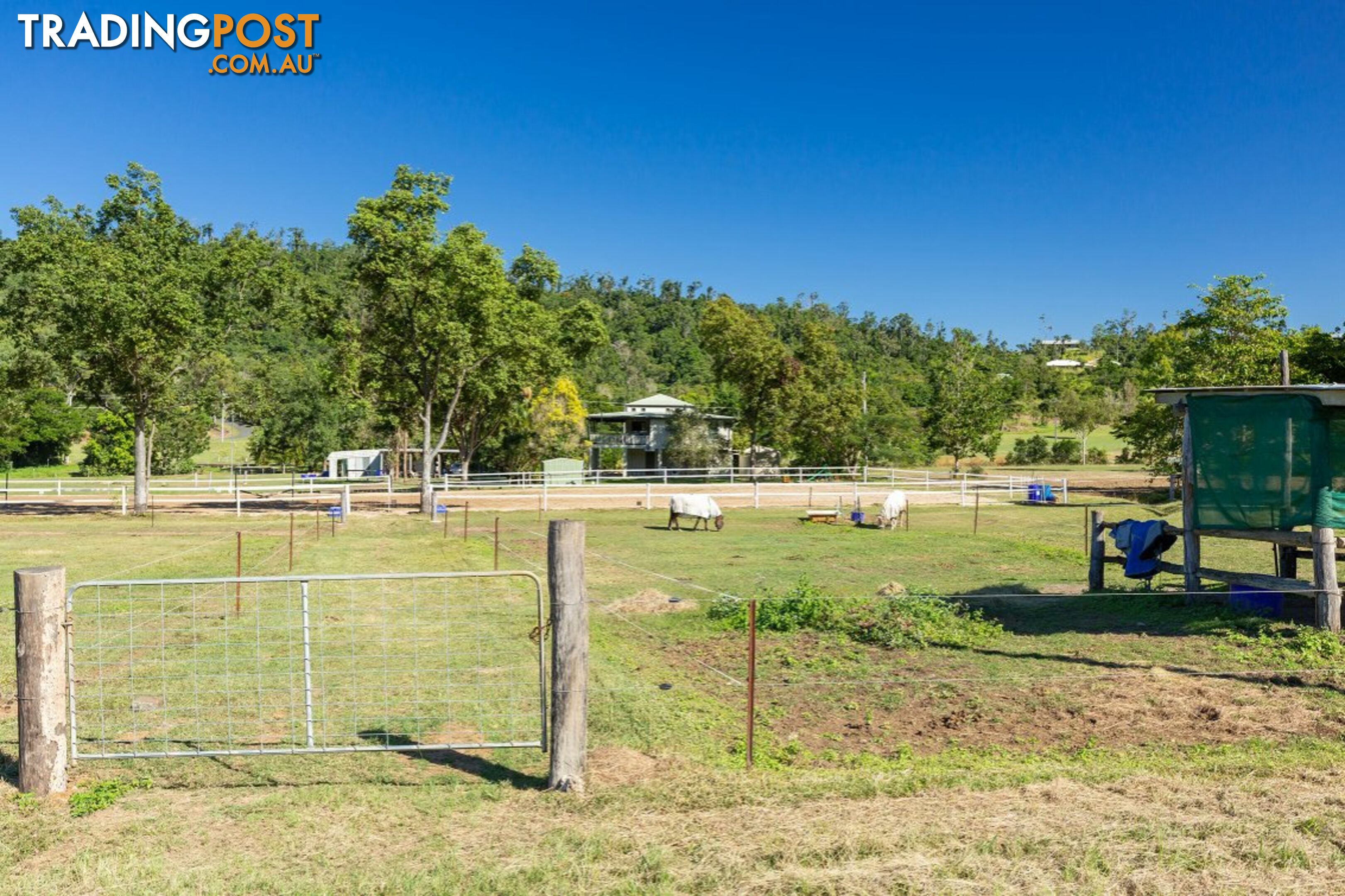 18 Moon Crescent SUGARLOAF QLD 4800