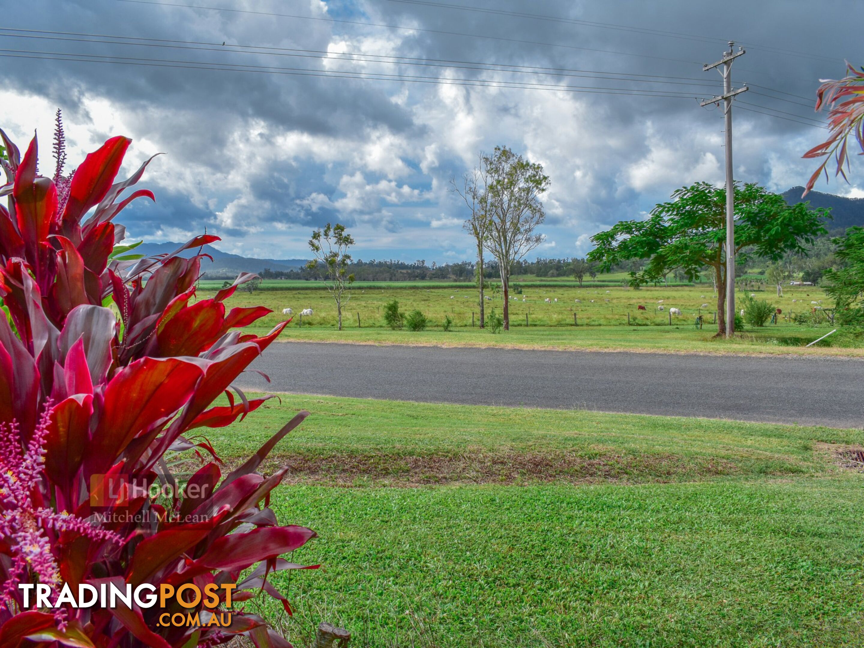 67 Camm Road MOUNT JULIAN QLD 4800