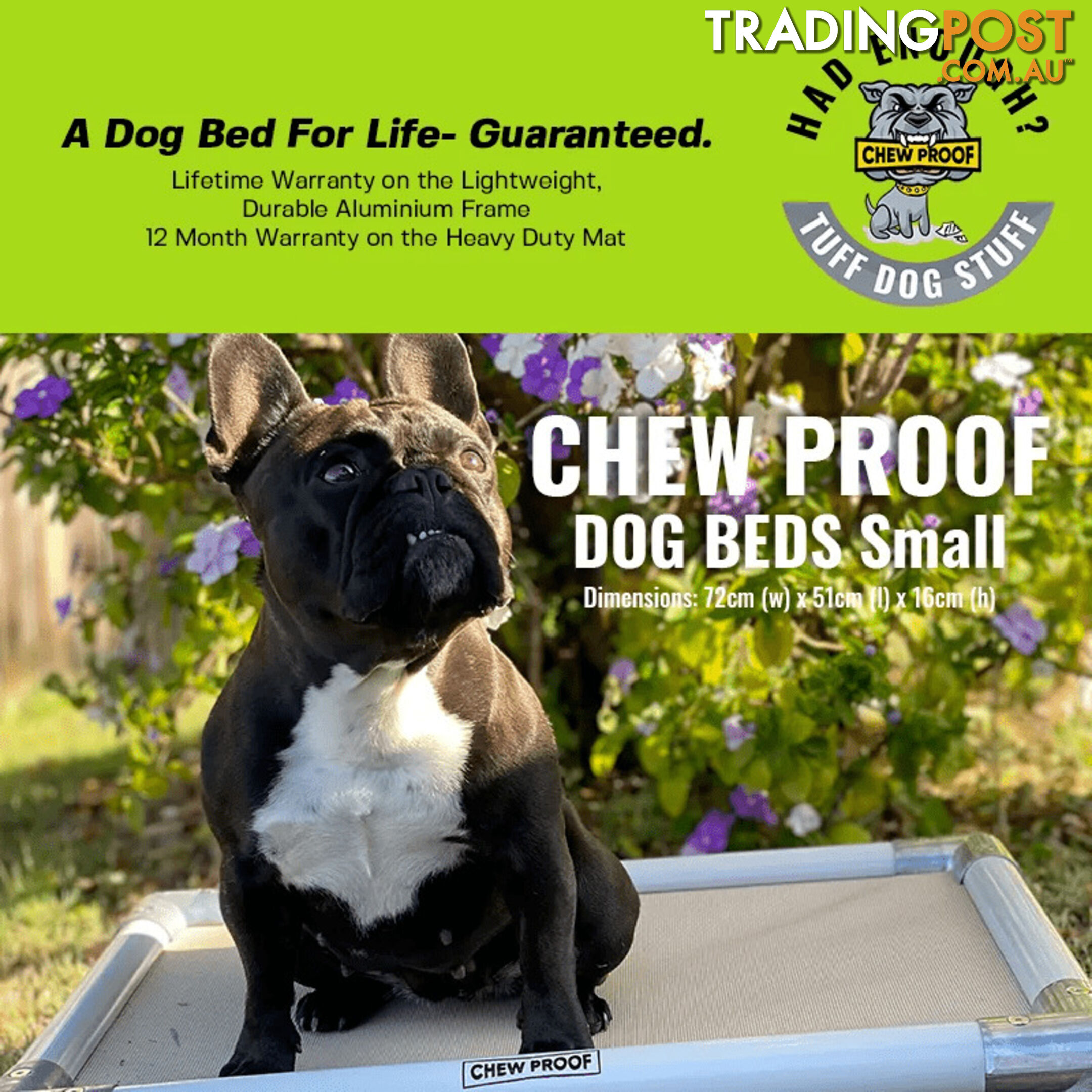 SMALL CHEWPROOF DOG BED WITH MESH MAT