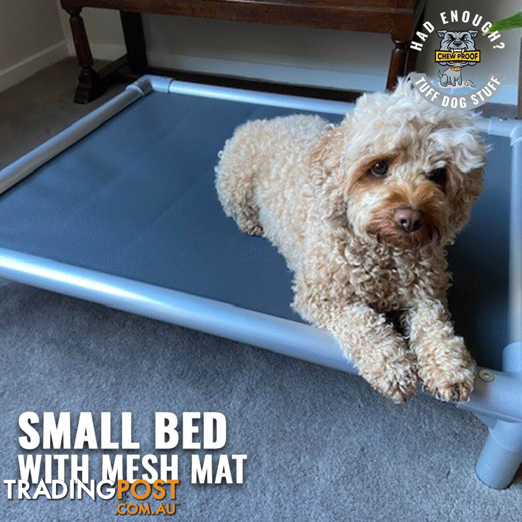 SMALL CHEWPROOF DOG BED WITH MESH MAT