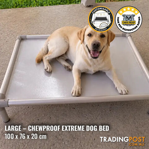 Large Extreme Chew-Proof Dog Bed
