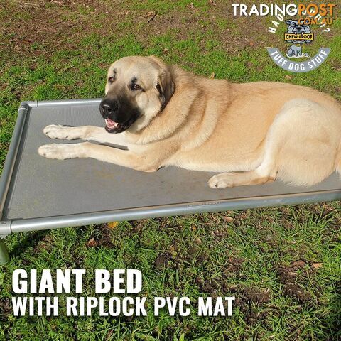 GIANT CHEWPROOF DOG BED WITH RIPLOCK PVC MAT