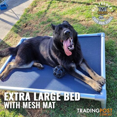 XL CHEWPROOF DOG BED WITH MESH MAT