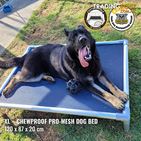 XL Pro-Mesh Chew-Proof Dog Bed