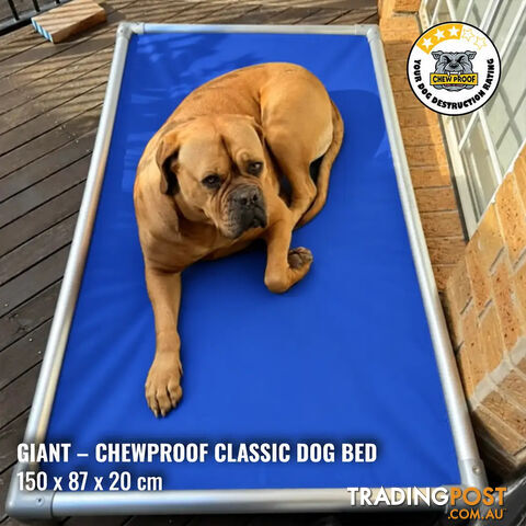 Giant Classic Chew-Proof Dog Bed
