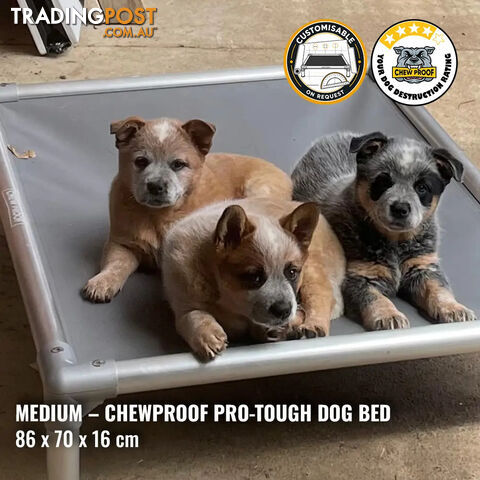 Medium Pro-Tough Chew-Proof Dog Bed