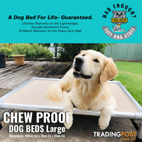Large ChewProof Frame Only (No Mat Provided)
