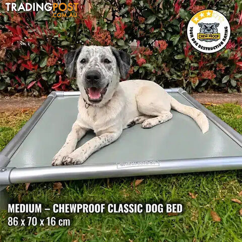 Medium Classic Chew-Proof Dog Bed