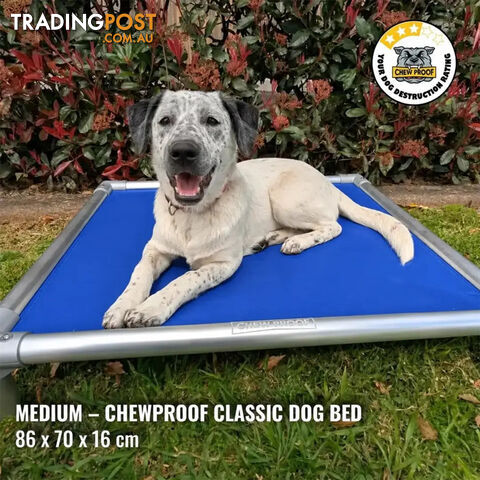 Medium Classic Chew-Proof Dog Bed