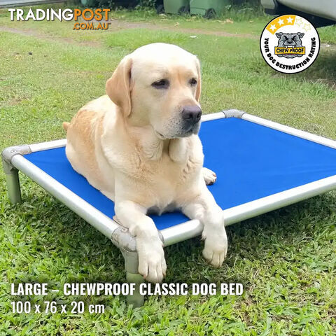 Large Classic Chew-Proof Dog Bed