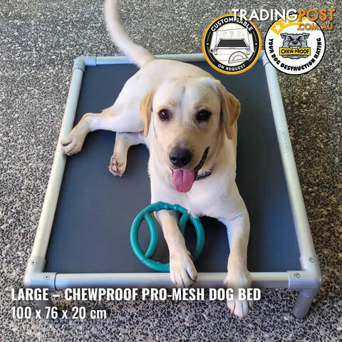 Large Pro-Mesh Chew-Proof Dog Bed