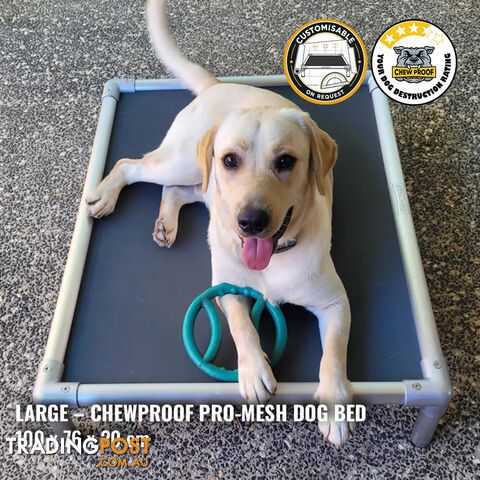 Large Pro-Mesh Chew-Proof Dog Bed