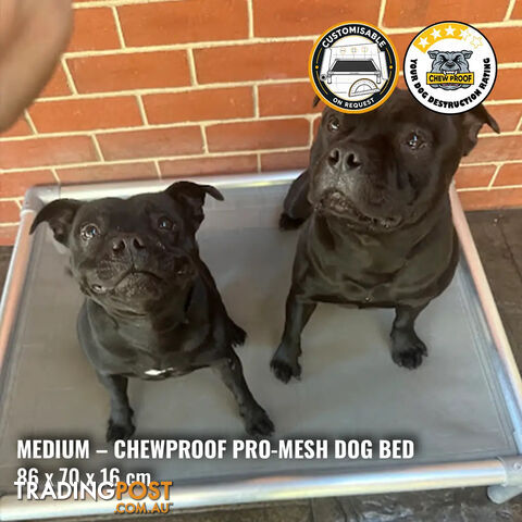 Medium Pro-Mesh Chew-Proof Dog Bed
