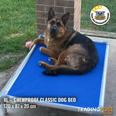 XL Classic Chew-Proof Dog Bed