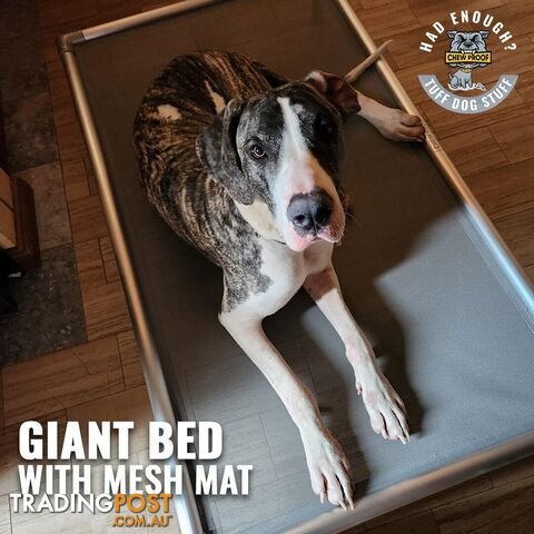 GIANT CHEWPROOF DOG BED WITH MESH MAT