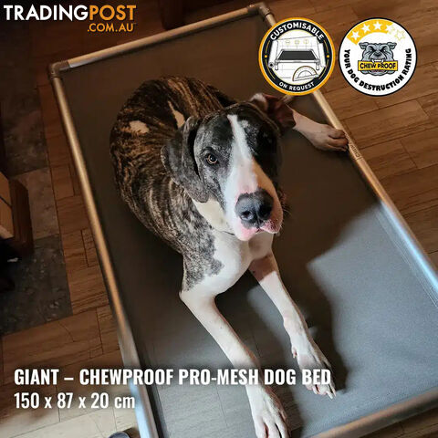 Giant Pro-Mesh Chew-Proof Dog Bed
