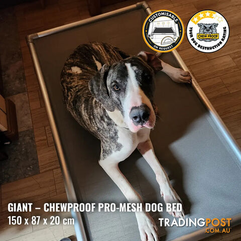 Giant Pro-Mesh Chew-Proof Dog Bed