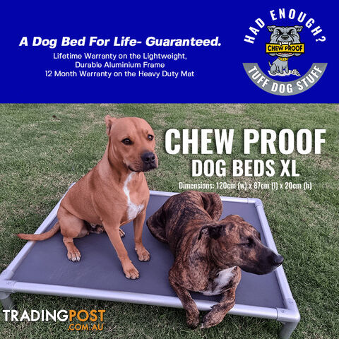 XL – ChewProof Frame Only (No Mat Provided)