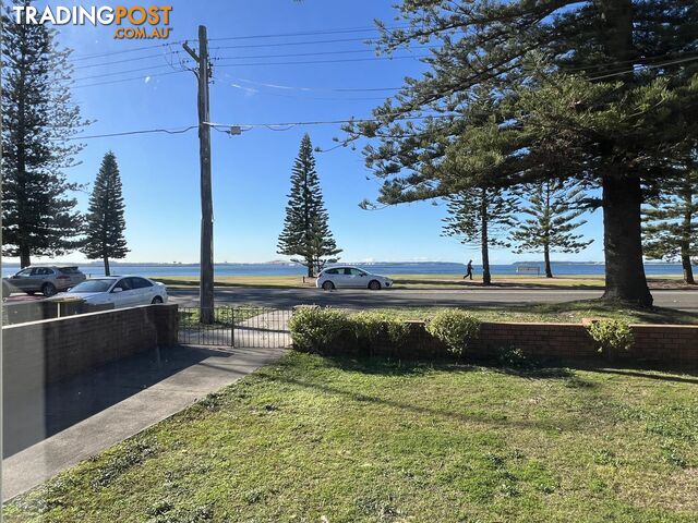 MONTEREY NSW 2217