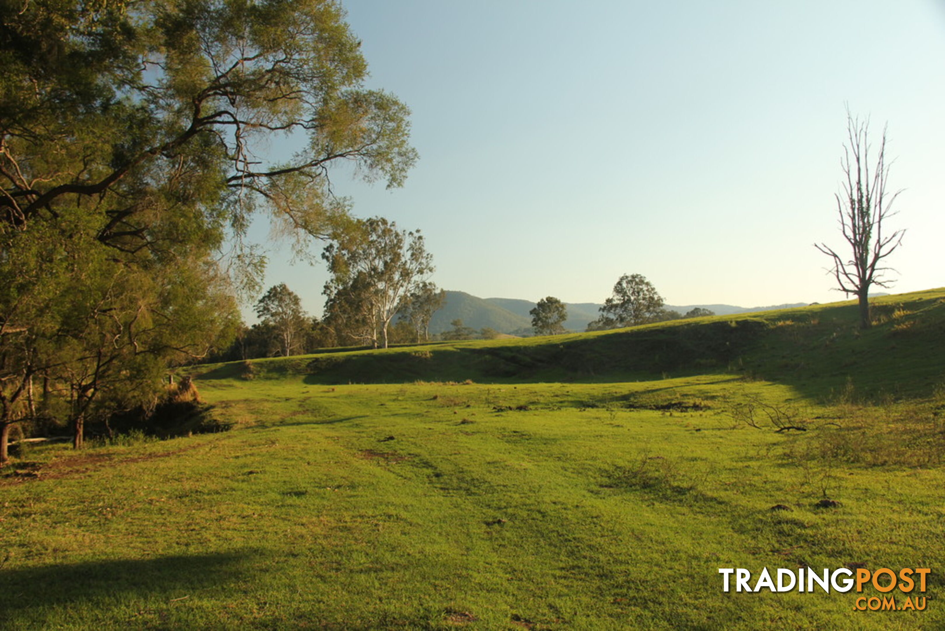 Lot140 Cookes Road CONONDALE QLD 4552