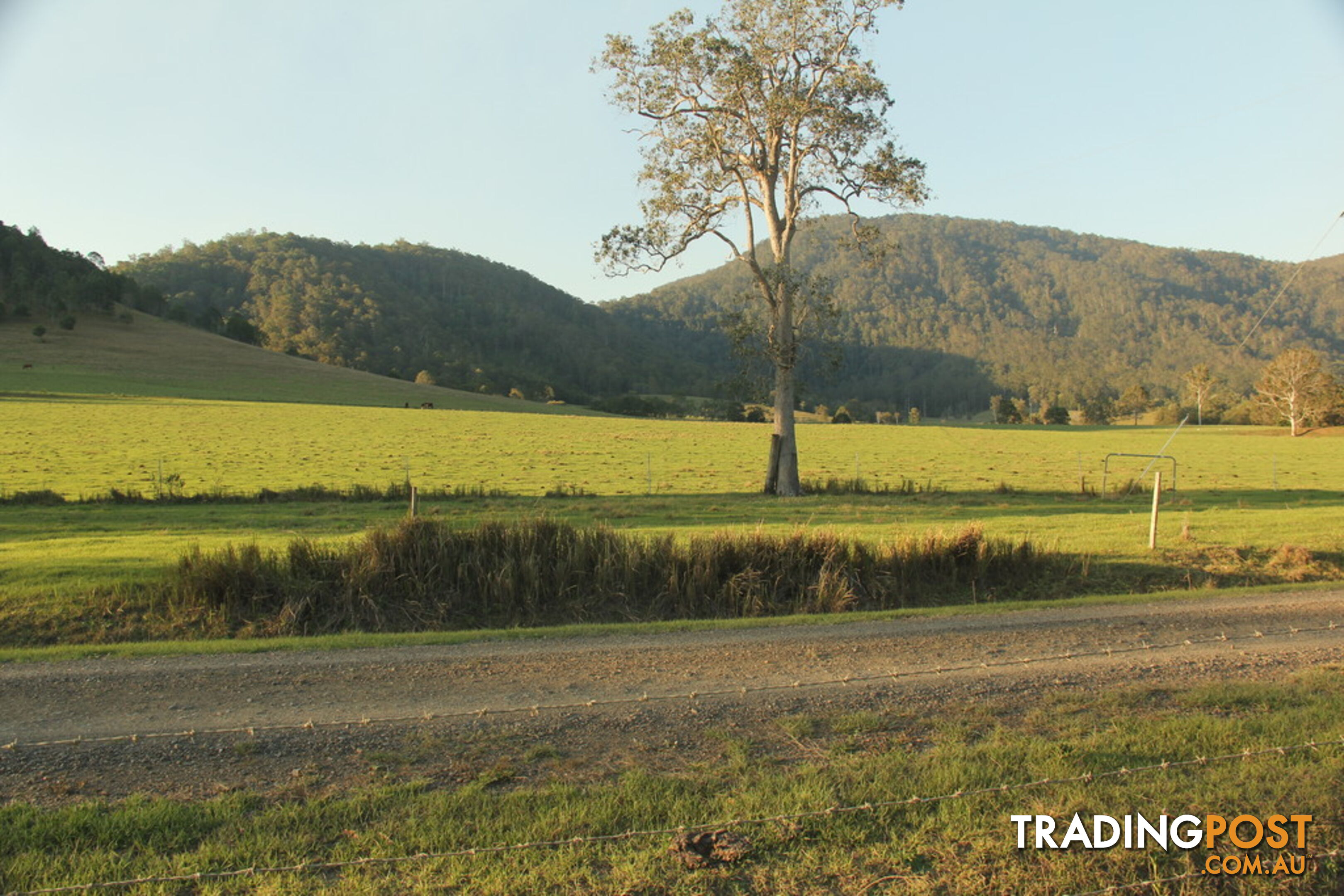 Lot140 Cookes Road CONONDALE QLD 4552