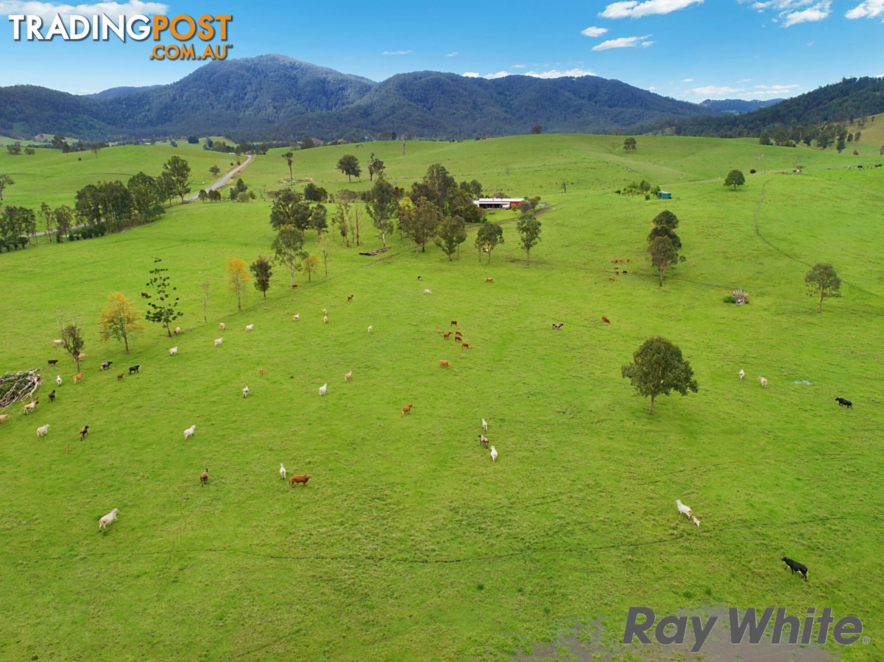 14 Cookes Road CONONDALE QLD 4552