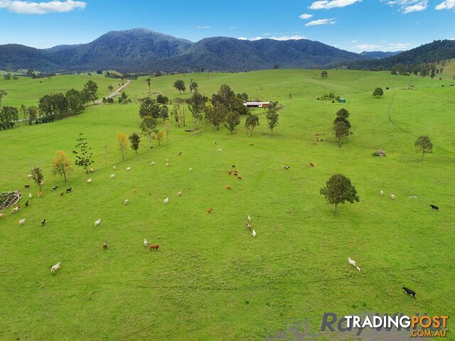 14 Cookes Road CONONDALE QLD 4552