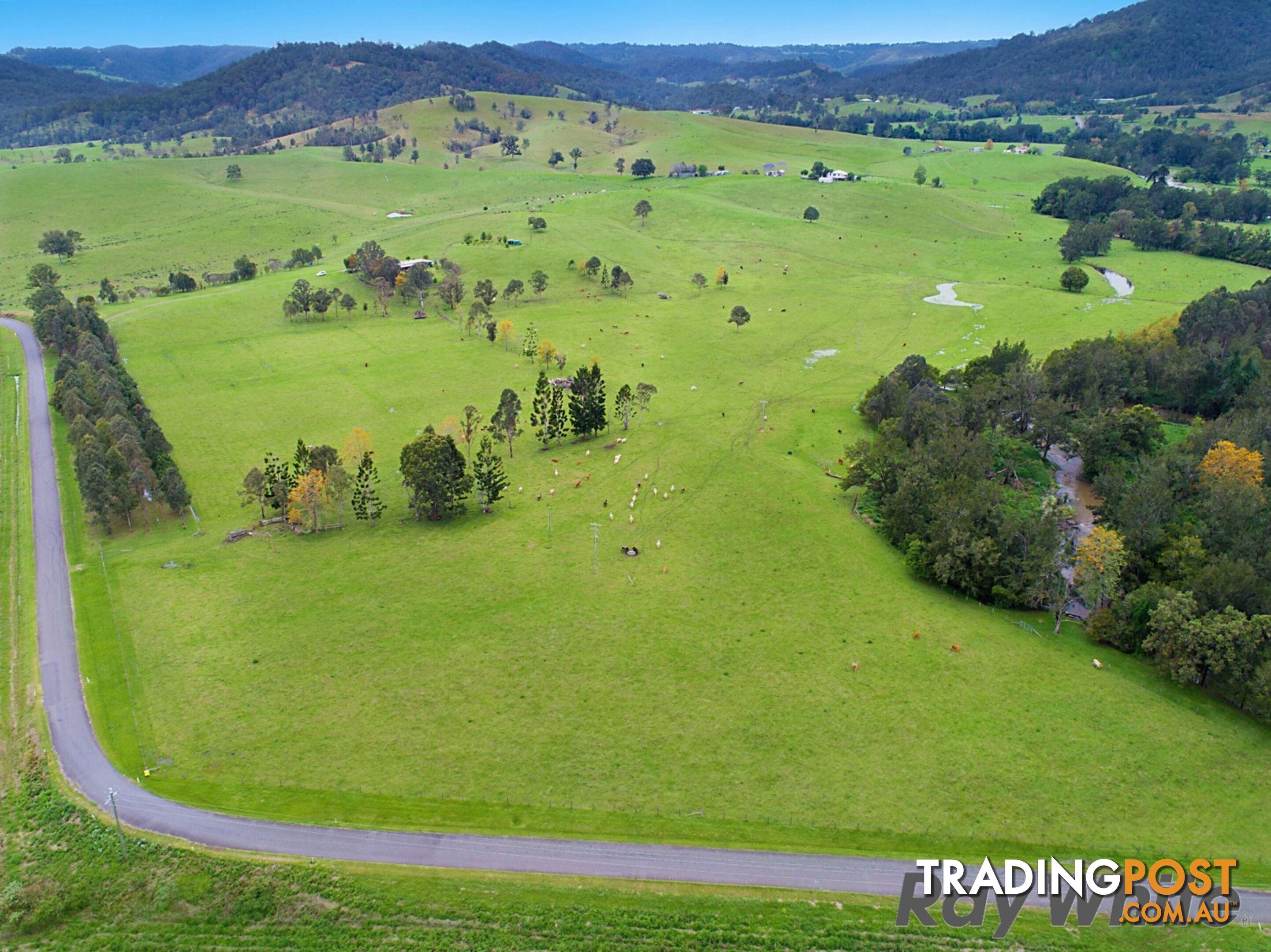 14 Cookes Road CONONDALE QLD 4552