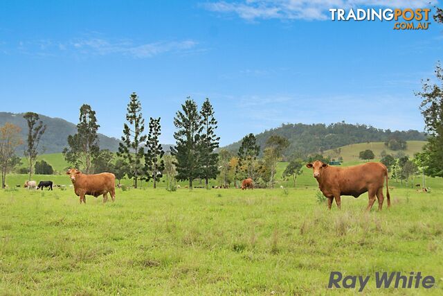 14 Cookes Road CONONDALE QLD 4552