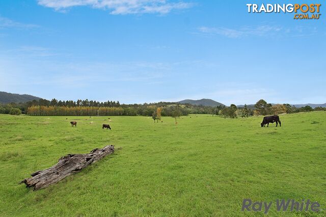 14 Cookes Road CONONDALE QLD 4552