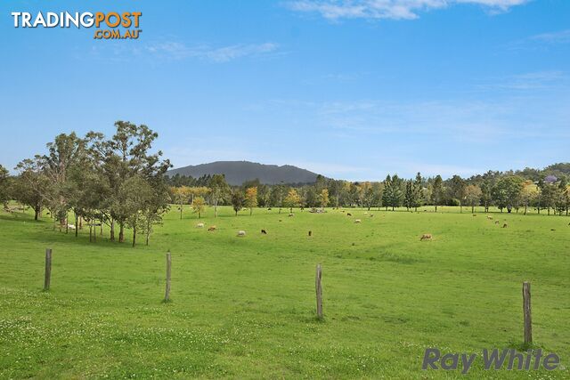 14 Cookes Road CONONDALE QLD 4552