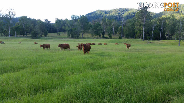 CONONDALE QLD 4552