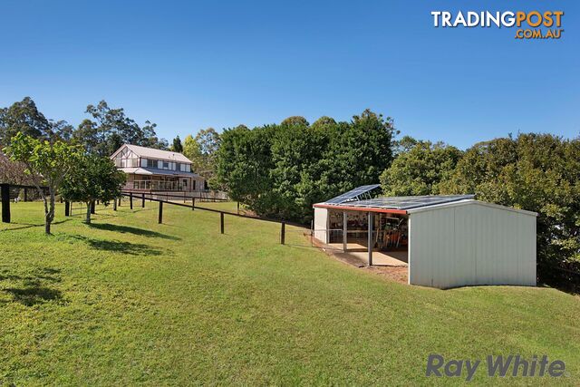 116 Ruddle Drive REESVILLE QLD 4552