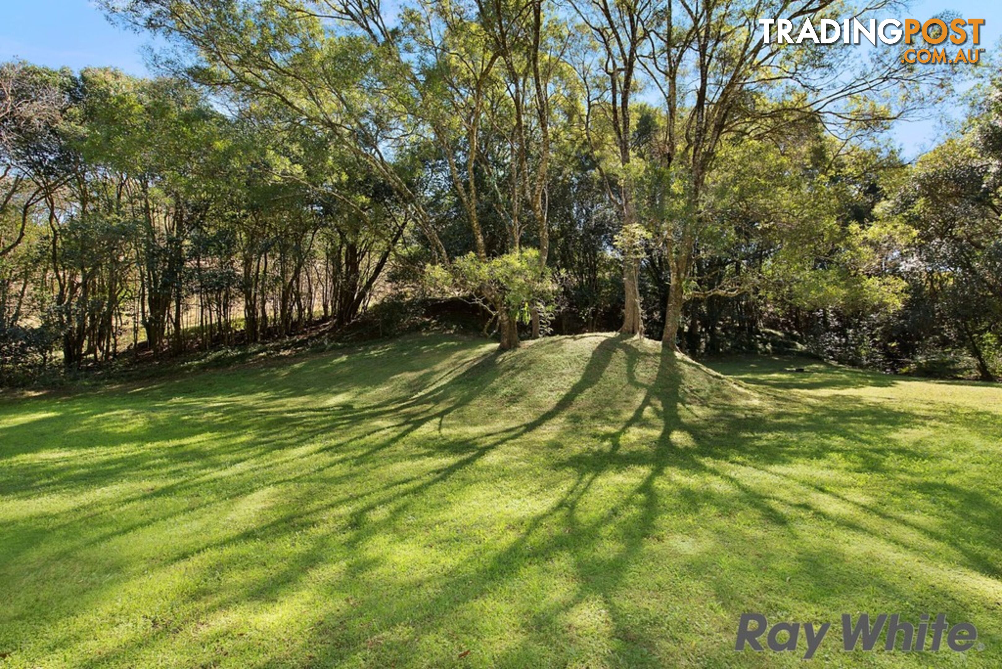 116 Ruddle Drive REESVILLE QLD 4552